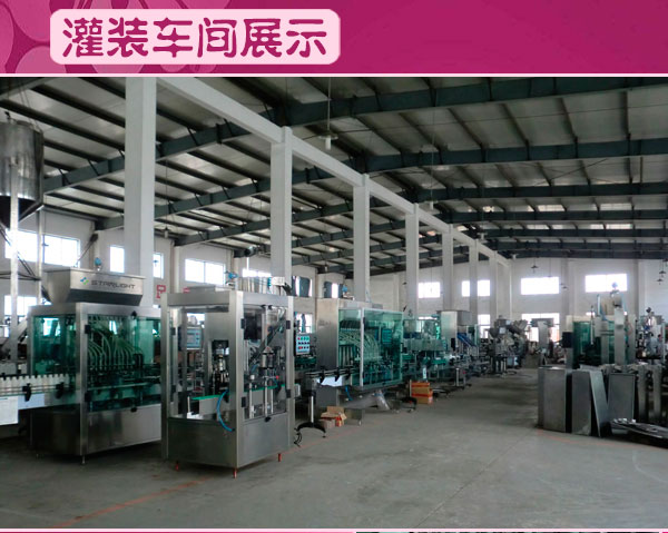 十二頭全自動(dòng)膏液灌裝生產(chǎn)線生產(chǎn)車間