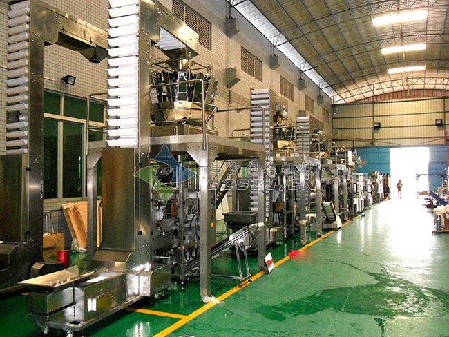 自動(dòng)化包裝生產(chǎn)線(混合物料)廠房內(nèi)實(shí)拍