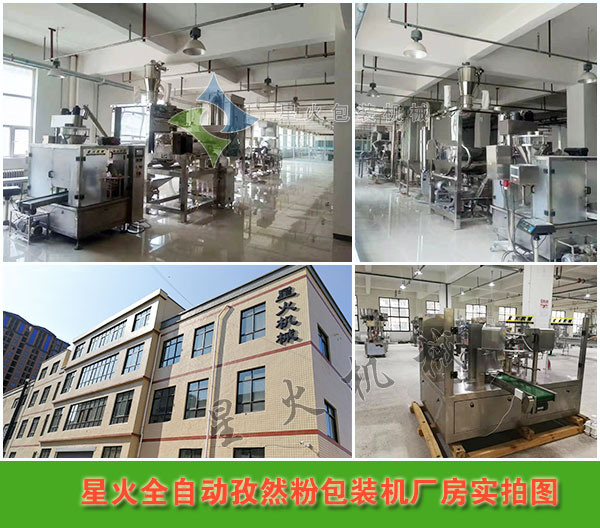 全自動孜然粉包裝機廠房實拍圖