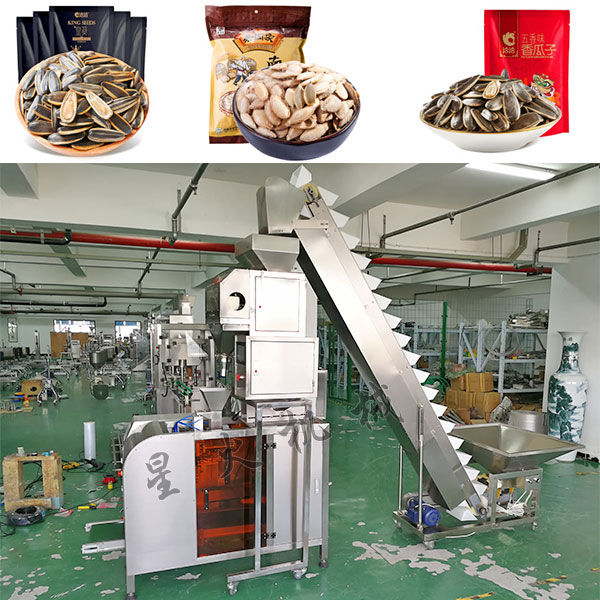 袋裝瓜子自動(dòng)包裝流水線、瓜子包裝機(jī)械實(shí)拍圖