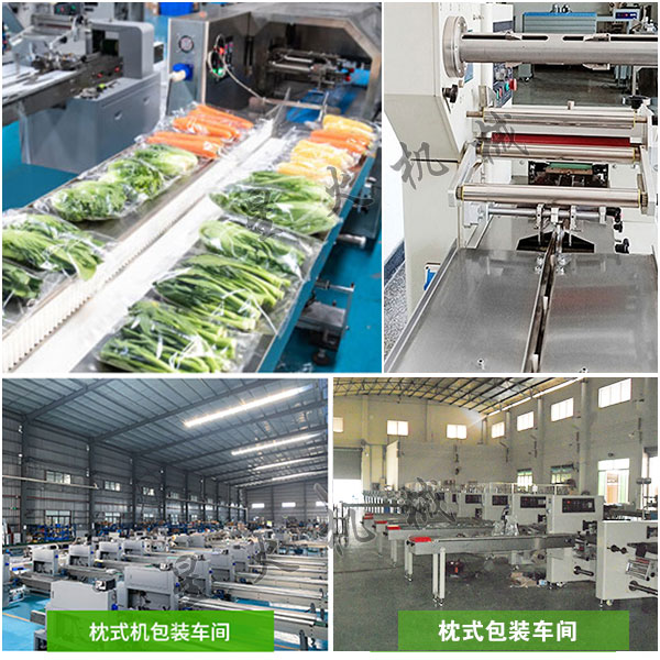 果蔬全自動包裝生產(chǎn)線實拍圖