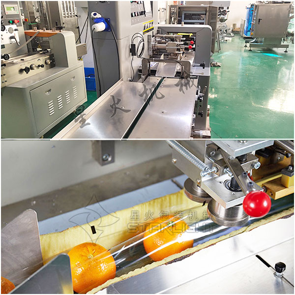 全自動果蔬包裝機細節(jié)圖