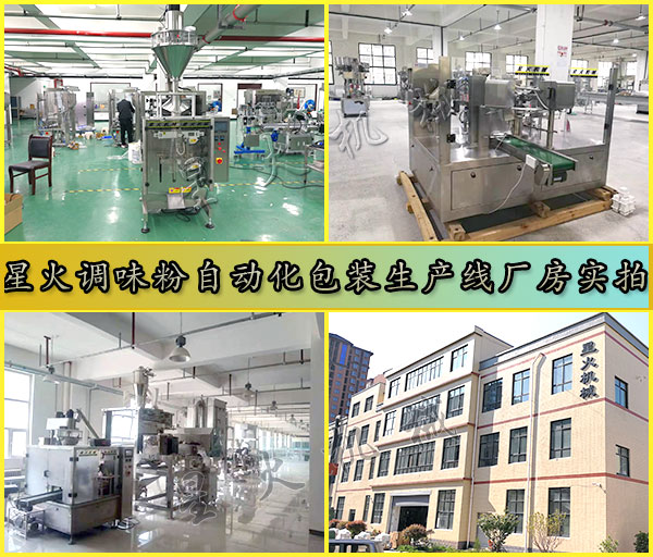 星火調(diào)味粉自動化包裝生產(chǎn)線廠房實拍